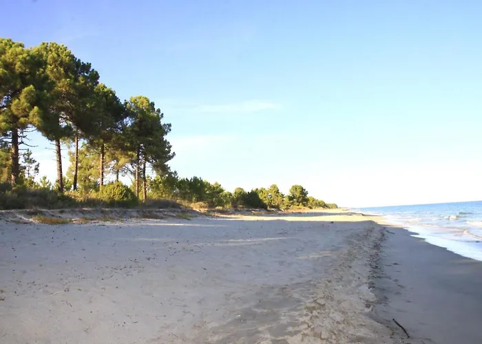 2 Ou 3 People, 150 M Beach, Near