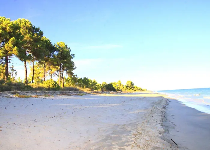 2 Ou 3 People, 150 M Beach, Near Lejlighed Ghisonaccia